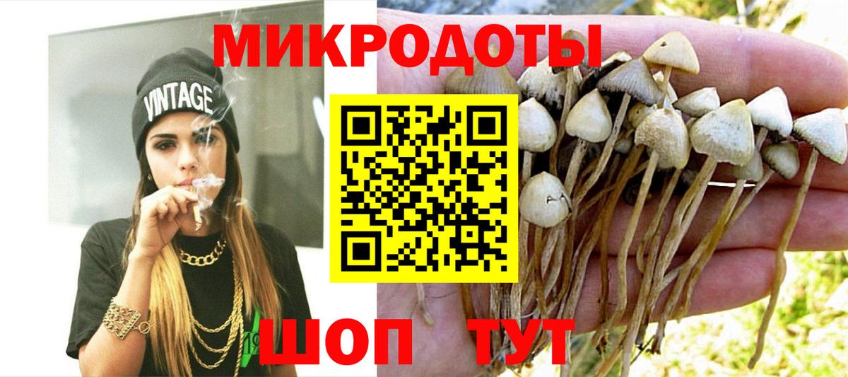 Галлюциногенные грибы прущие грибы Верхняя Пышма